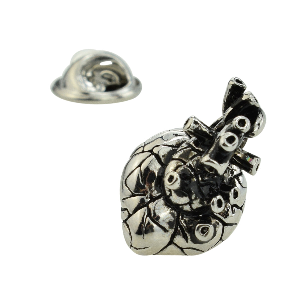 Anatomical Heart Lapel Pin Badge