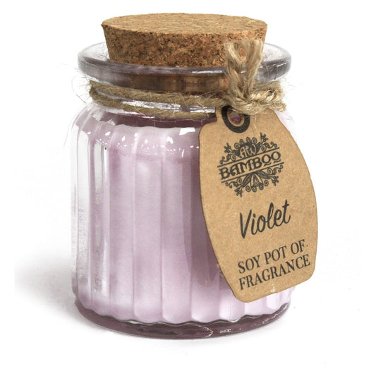 Violet Soy Pot of Fragrance Candles x 2 - Ashton and Finch