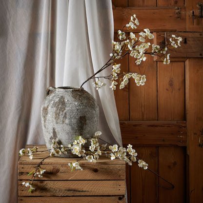 White Japanese Blossom - Ashton and Finch