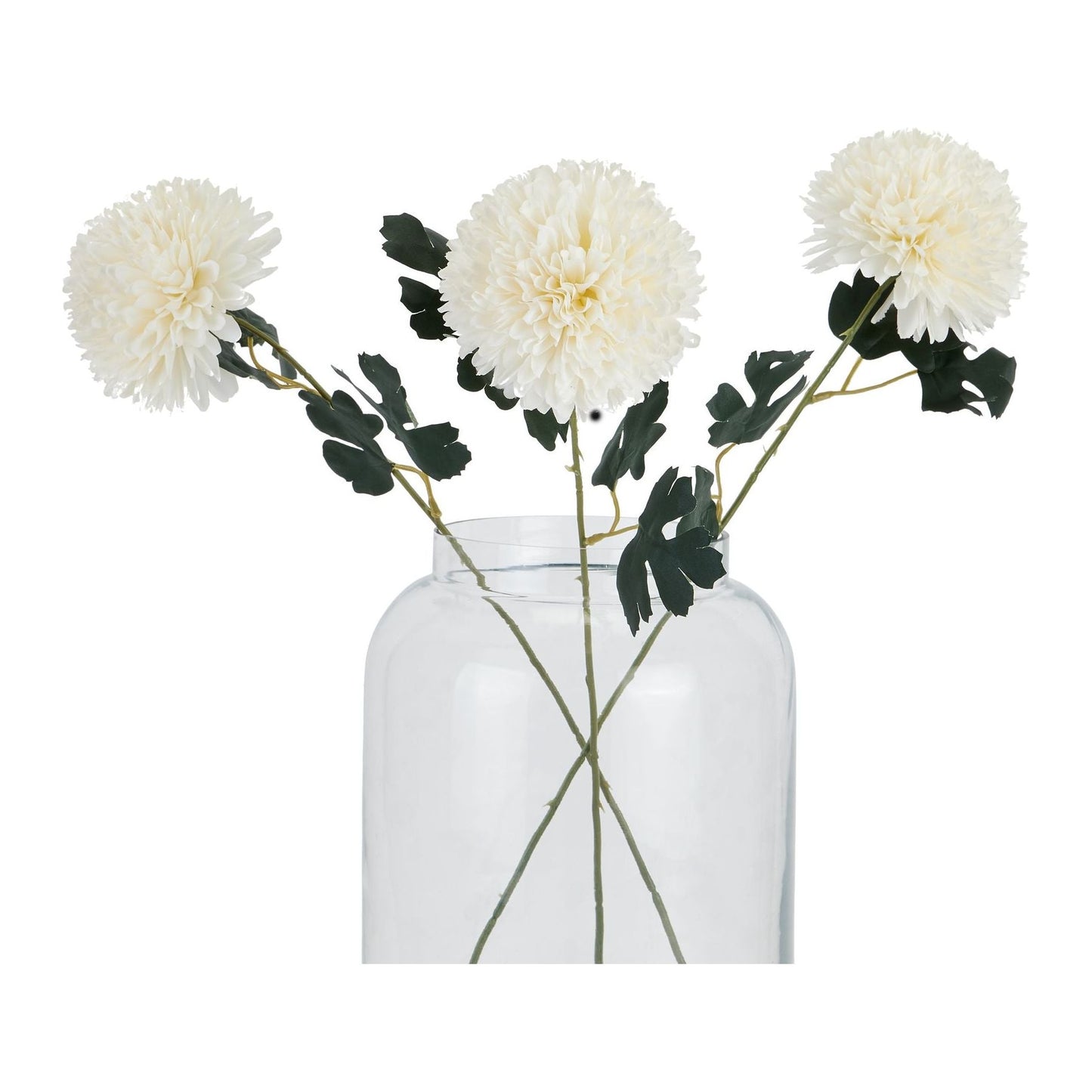 White Chrysanthemum Stem - Ashton and Finch