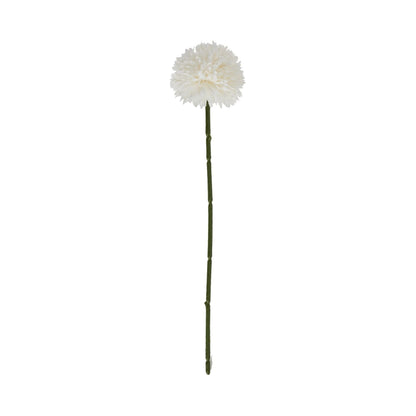 White Short Chrysanthemum - Ashton and Finch