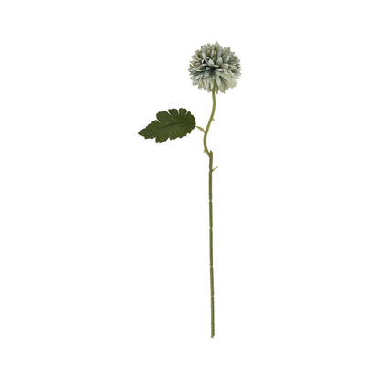 Pale Green Blue Short Chrysanthemum - Ashton and Finch