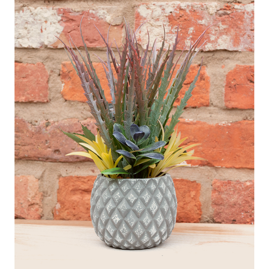 Succulents in Small Lattice Design Grey Pot - Ashton and Finch