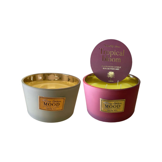 3 Wick Scented Candle, Pack of 2 - Ashton and Finch