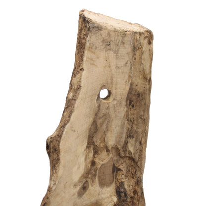 Molten Glass on Wood Hanging Bowl Wall Mounted