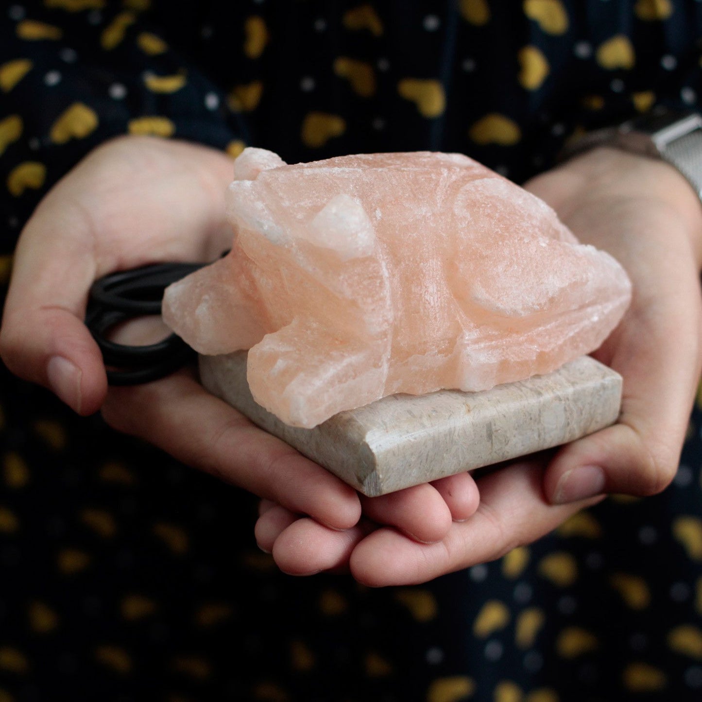 USB Salt Lamp Toad Design – Colour-Changing