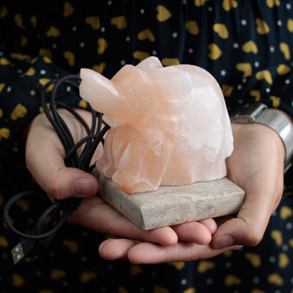 USB Salt Lamp Elephant Design – Colour-Changing