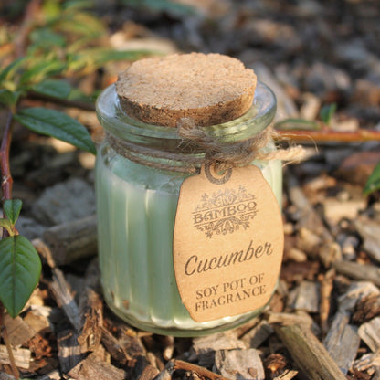Cucumber Soy Fragrance Candle