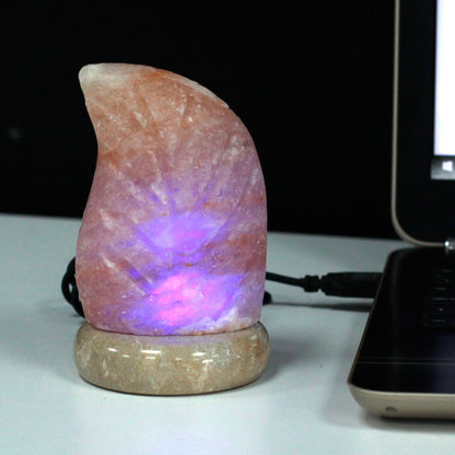 USB Salt Lamp Leaf Design – Colour-Changing