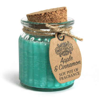 Apple & Cinnamon Soy Fragrance Candle