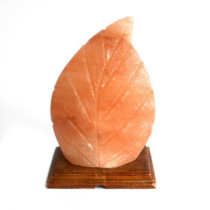 Himalayan Salt Lamp – Fern Shaped Design