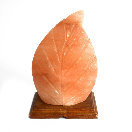 Himalayan Salt Lamp – Fern Shaped Design