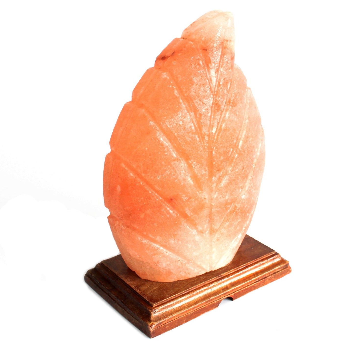 Himalayan Salt Lamp – Fern Shaped Design