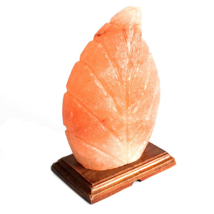 Himalayan Salt Lamp – Fern Shaped Design