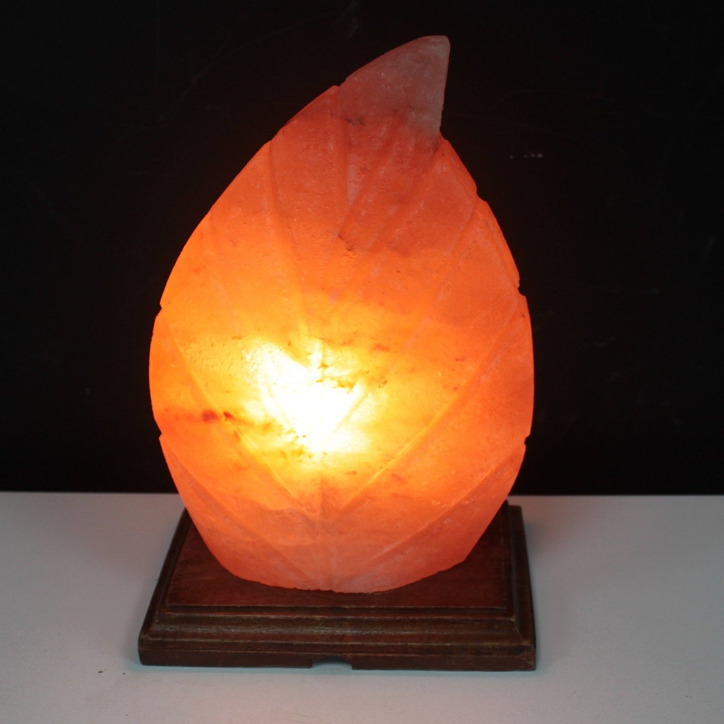 Himalayan Salt Lamp – Fern Shaped Design