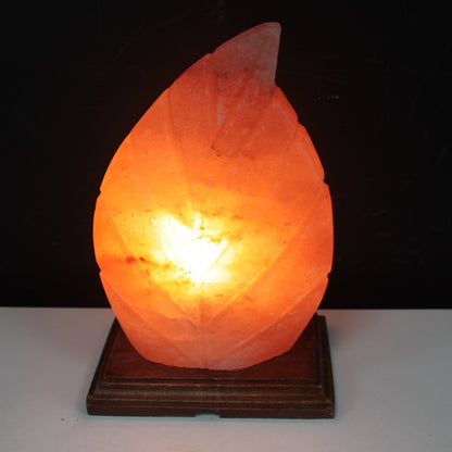 Himalayan Salt Lamp – Fern Shaped Design