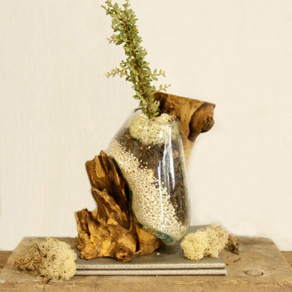 Molten Glass on Wood Hanging Bowl Wall Mounted