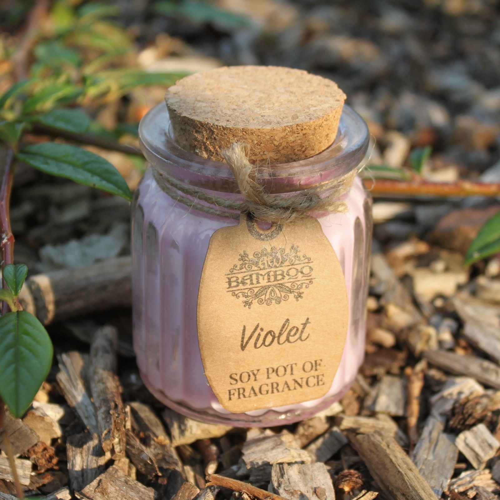 Violet Soy Fragrance Candle