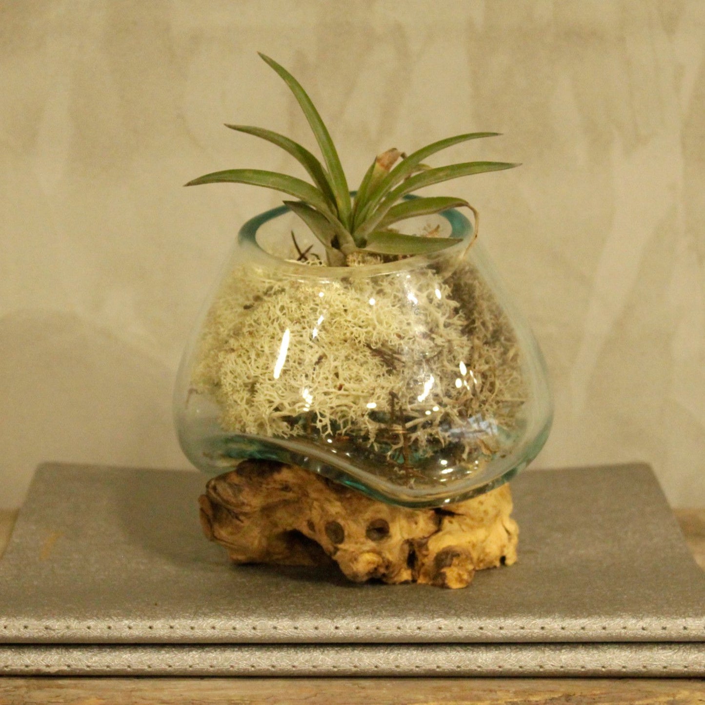 Molten Glass on Wood Small Bowl