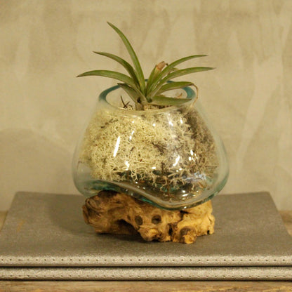 Molten Glass on Wood Small Bowl