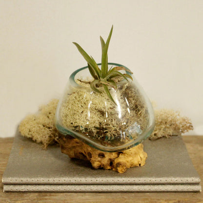 Molten Glass on Wood Small Bowl