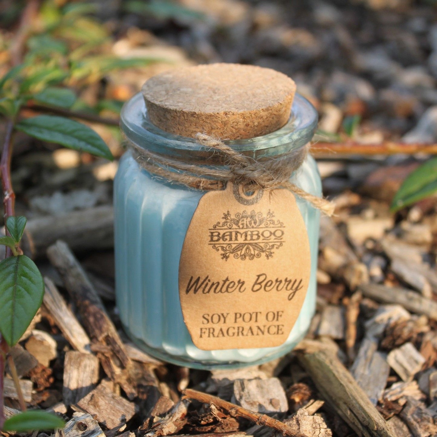Winter Berry Soy Fragrance Candle
