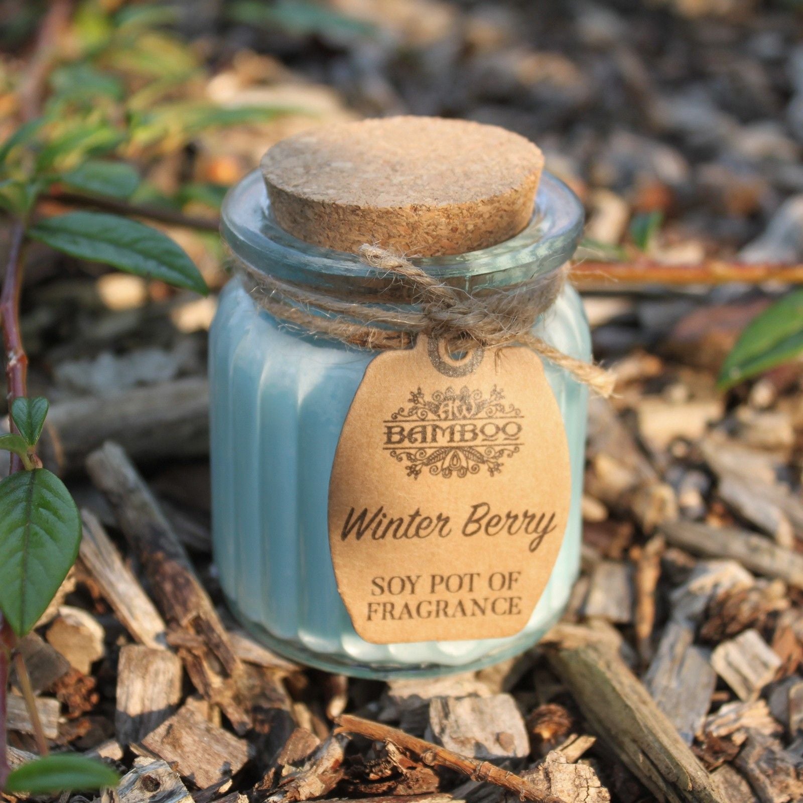 Winter Berry Soy Fragrance Candle
