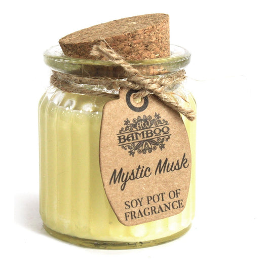 Mystic Musk Soy Pot of Fragrance Candles x 2 - Ashton and Finch