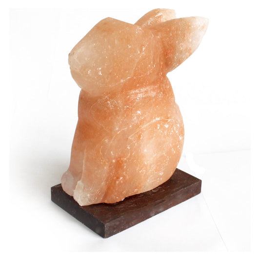 Rabbit Animal salt lamp - Ashton and Finch