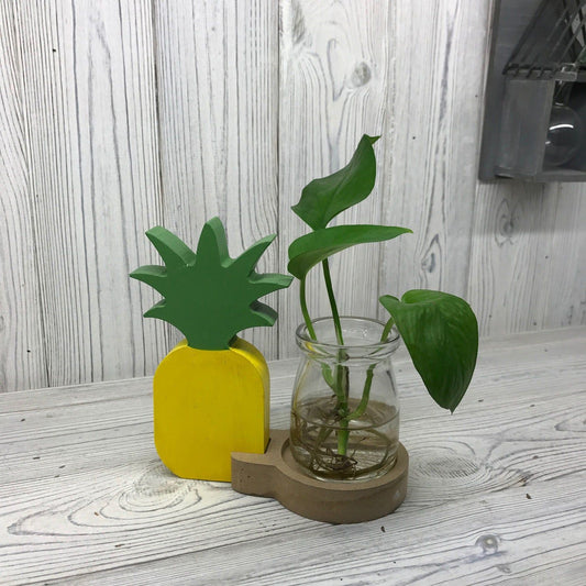 Pineapple Pot Hydroponic Home Decor - Ashton and Finch