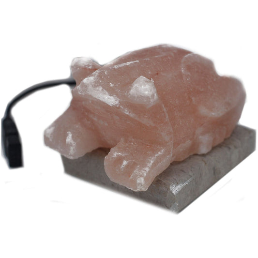 USB Toad Shaped Salt lamp (Multi) - Ashton and Finch
