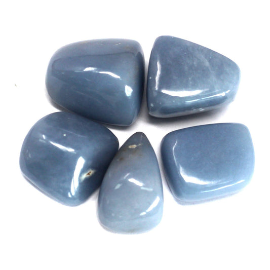 4 x Premium Tumble Stone- Angelite - Ashton and Finch