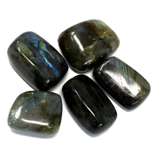 4 x Premium Tumble Stone - Labradorite - Ashton and Finch