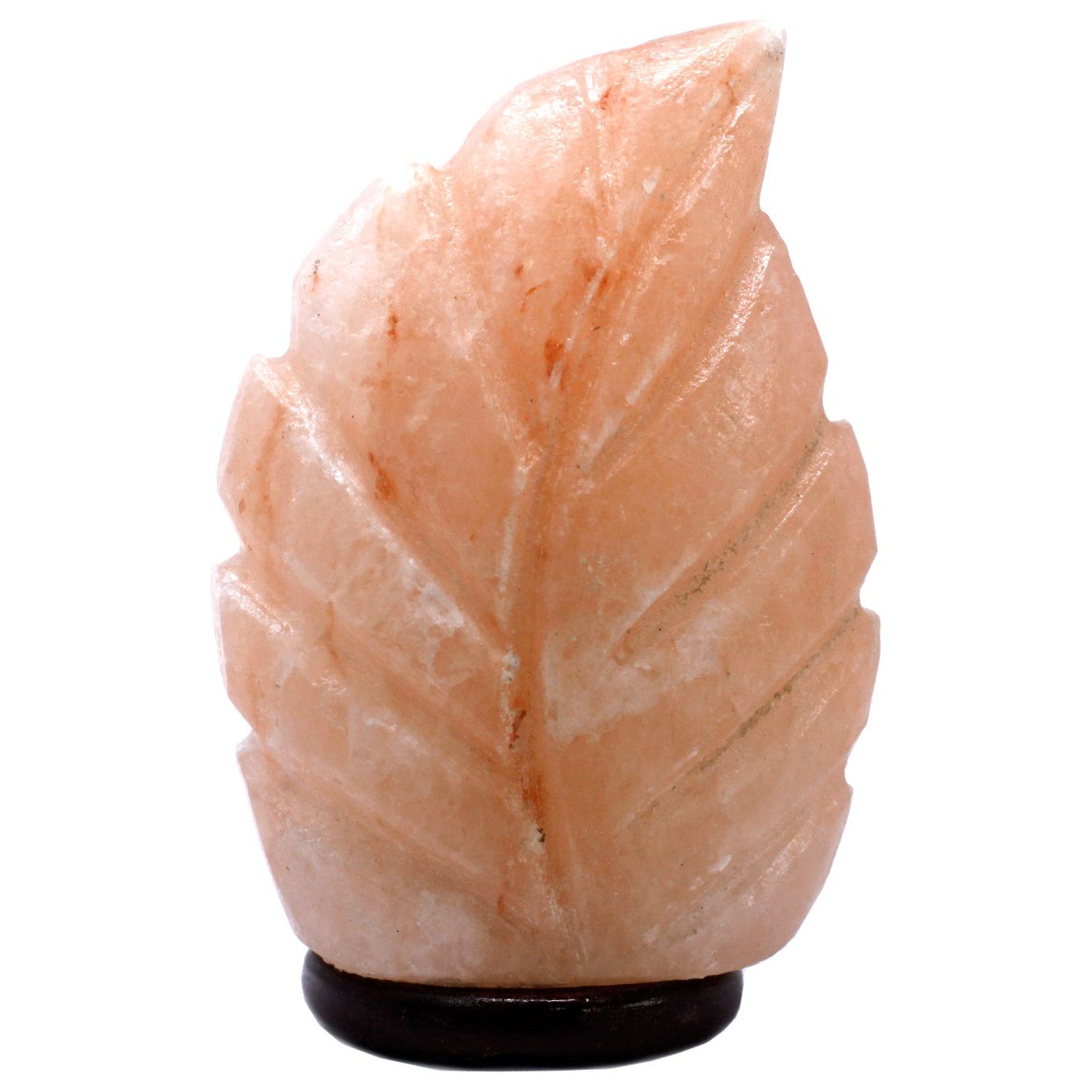 Fern  Crafted Salt lamp 3x5x7 inch - Ashton and Finch