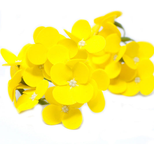 Craft Soap Flowers - Hyacinth Bean - Yellow x 10 - Ashton and Finch