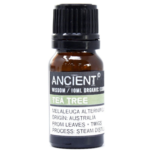 Tea Tree Organic Essential Oil 10ml - Ashton and Finch