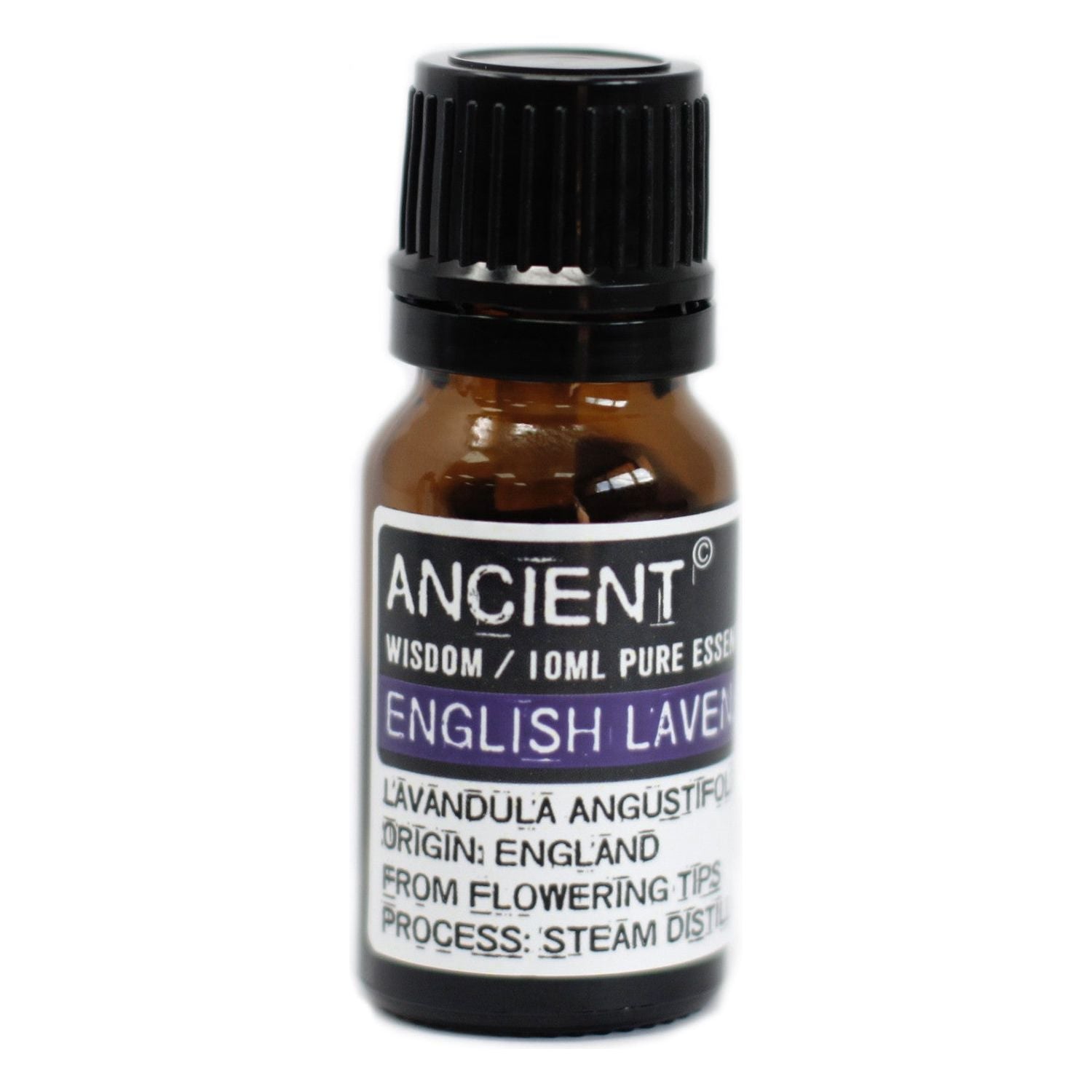 English Lavender Essential Oil 10ml - Ashton and Finch