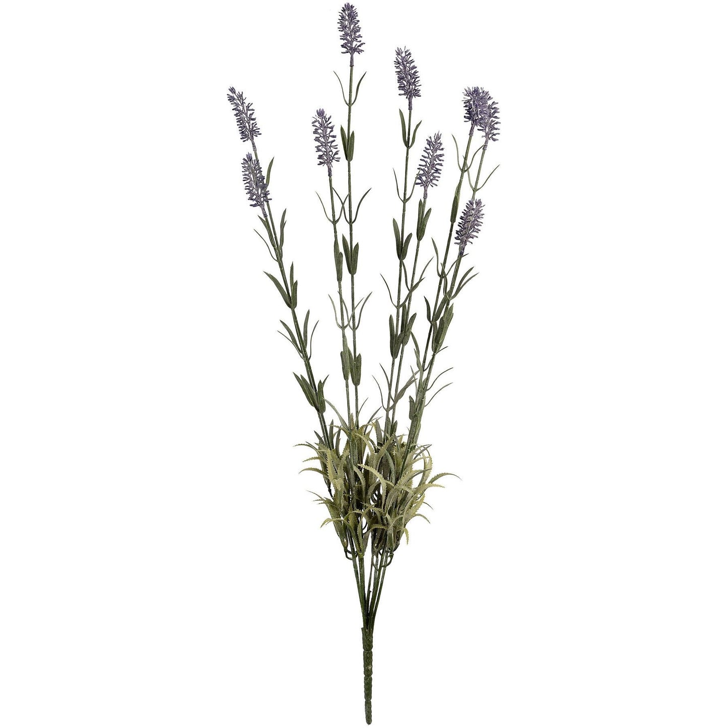Large Lavender Spray - Ashton and Finch