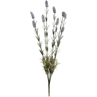 Large Lavender Spray - Ashton and Finch