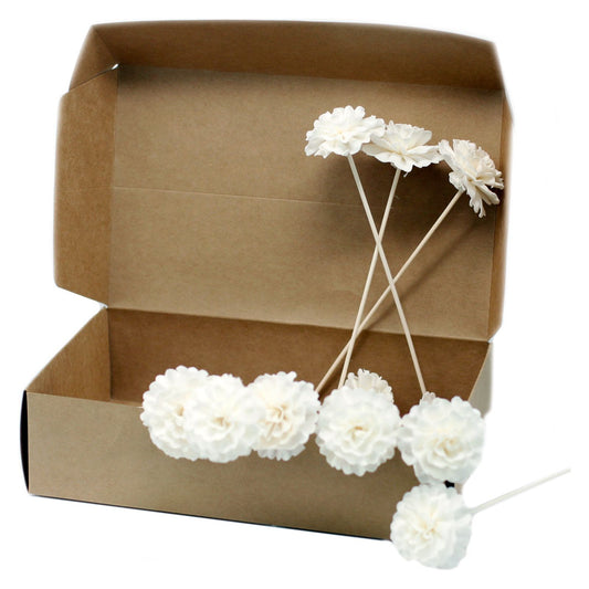 Carnation on Reed 12 x Natural Diffuser Flowers - Ashton and Finch