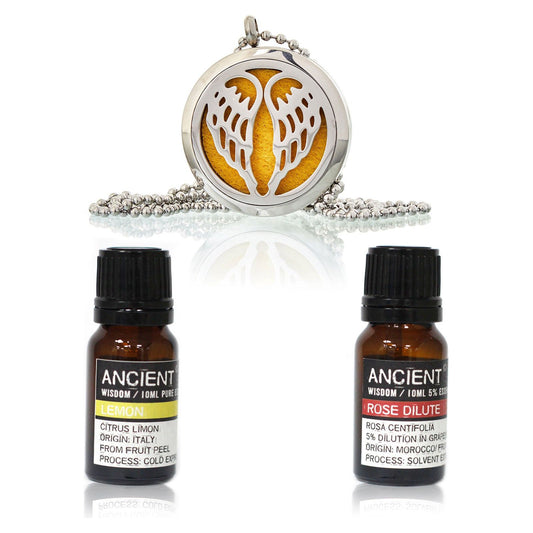 Diffuser Necklace and Essential Oils Set - Ashton and Finch