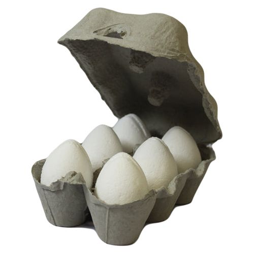 Pack of 6 Bath Eggs - Coconut - Ashton and Finch