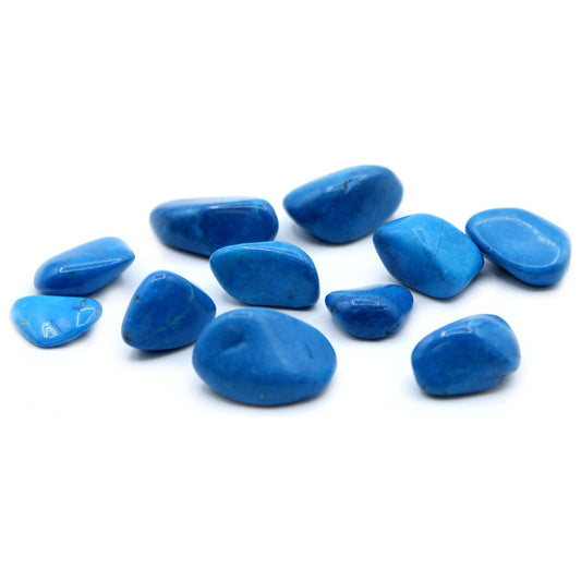 Blue Howlite 24 x Medium Tumble Stone - Ashton and Finch
