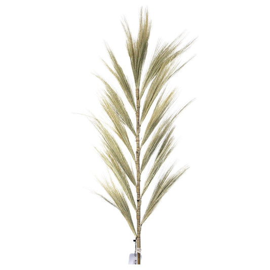 Rayung Grass Blond - 1.6m x 3 Pieces - Ashton and Finch