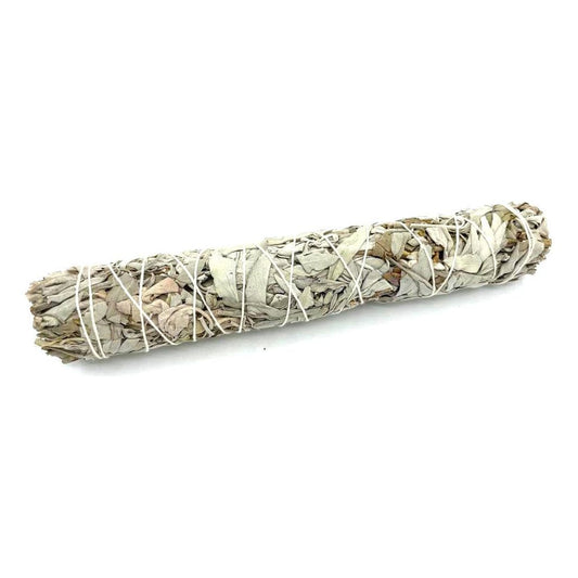 Smudge Stick - White Sage 22.5 cm - Ashton and Finch