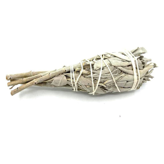 Smudge Stick - White Sage Torch 10cm - Ashton and Finch