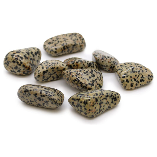 XL Tumble Stones - Dalmation Stone - Ashton and Finch