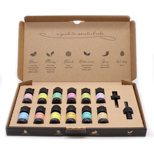 Aromatherapy Essential Oil Set - The Top 12 - Ashton and Finch
