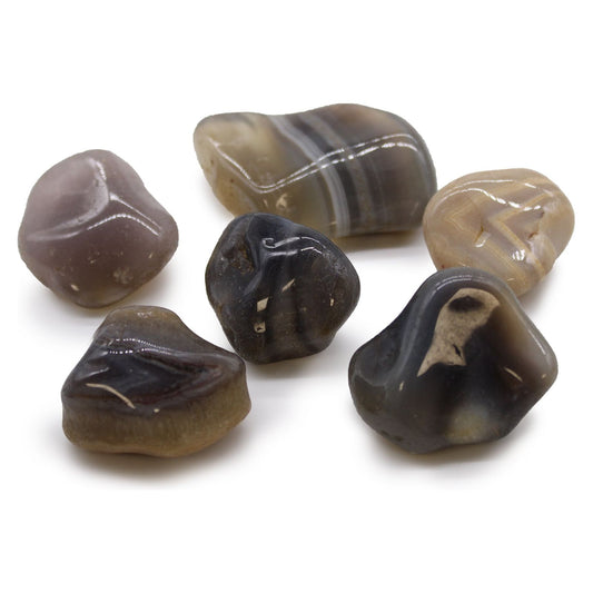 Large African Tumble Stones - Grey Agate - Botswana x 6 - Ashton and Finch