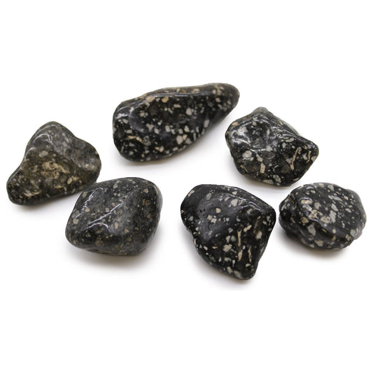 Large African Tumble Stones - Guinea Fowl Large x 6 - Ashton and Finch